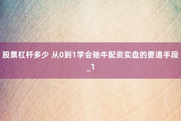 股票杠杆多少 从0到1学会驰牛配资实盘的要道手段_1